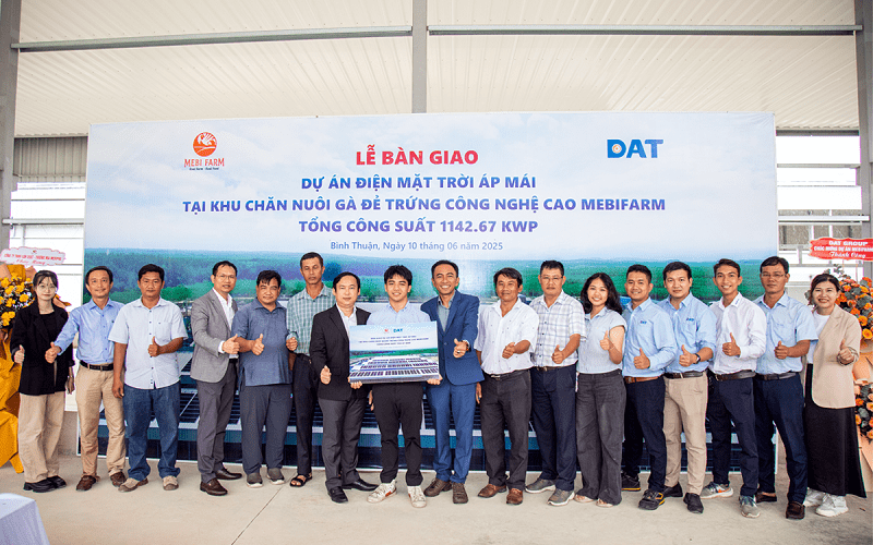 DAT Froup bàn giao dự án điện mặt trời cho Mebi Farm